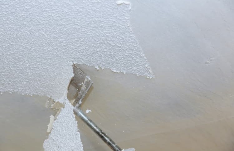 Popcorn Removal Sarasota